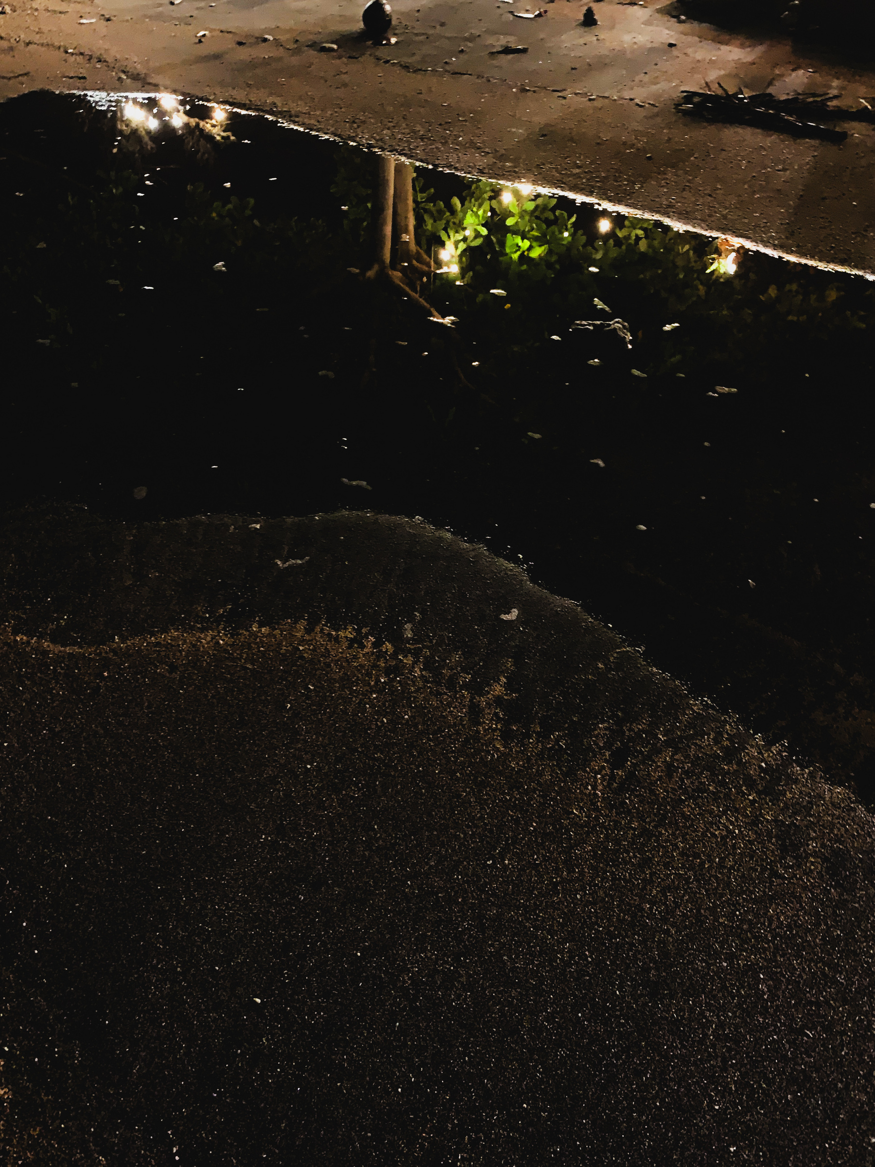 photo taken at night of black speckled and sparkling sand with a tide pool lined with bright golden light and reflecting black sky with other scattered lights, bright bits of scattered froth or debris, something bright green like light hitting leaves, and some wooden posts, with silhouettes of coastal detritus in the background.