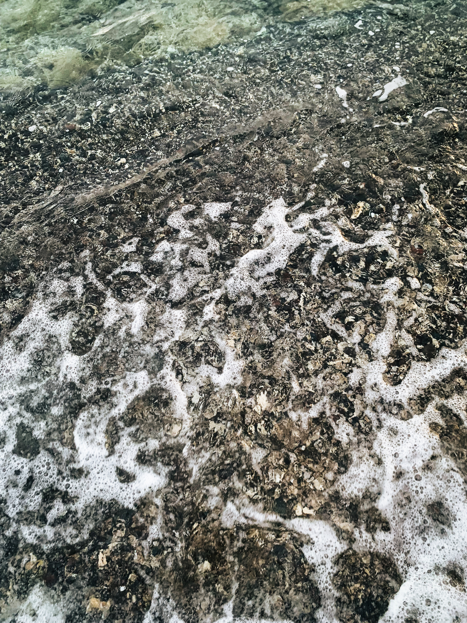 a photo of bubbly, frothy seawater, translucent greenish turquoise rippling over brown and black and white pebbled beach.