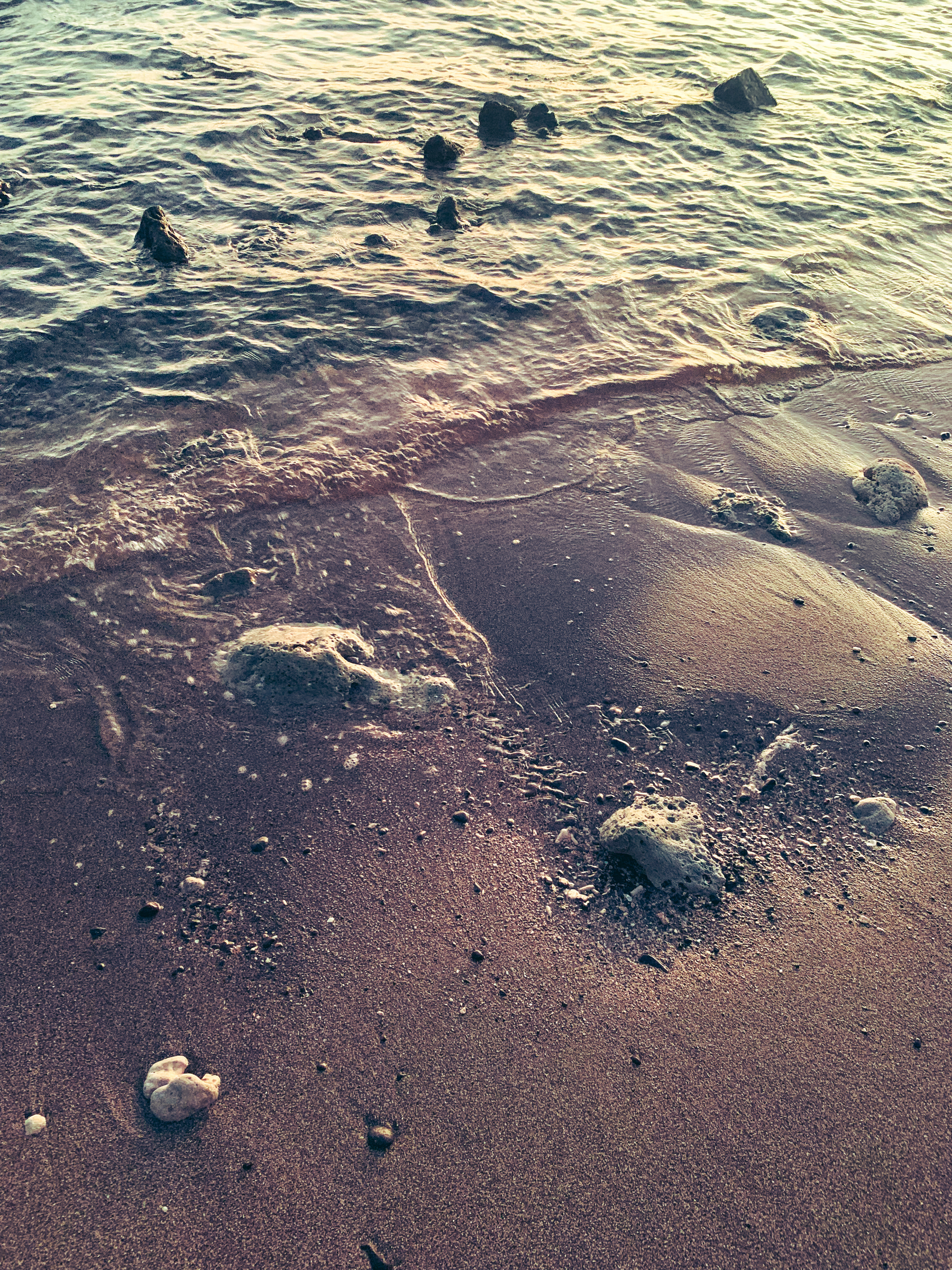 photo at the beach taken at the edge of the water, with the water rippling up over hunks of coral submerged in sand, and some darker pieces of coral visible pointing up out of the shallow water, reflecting warm light.