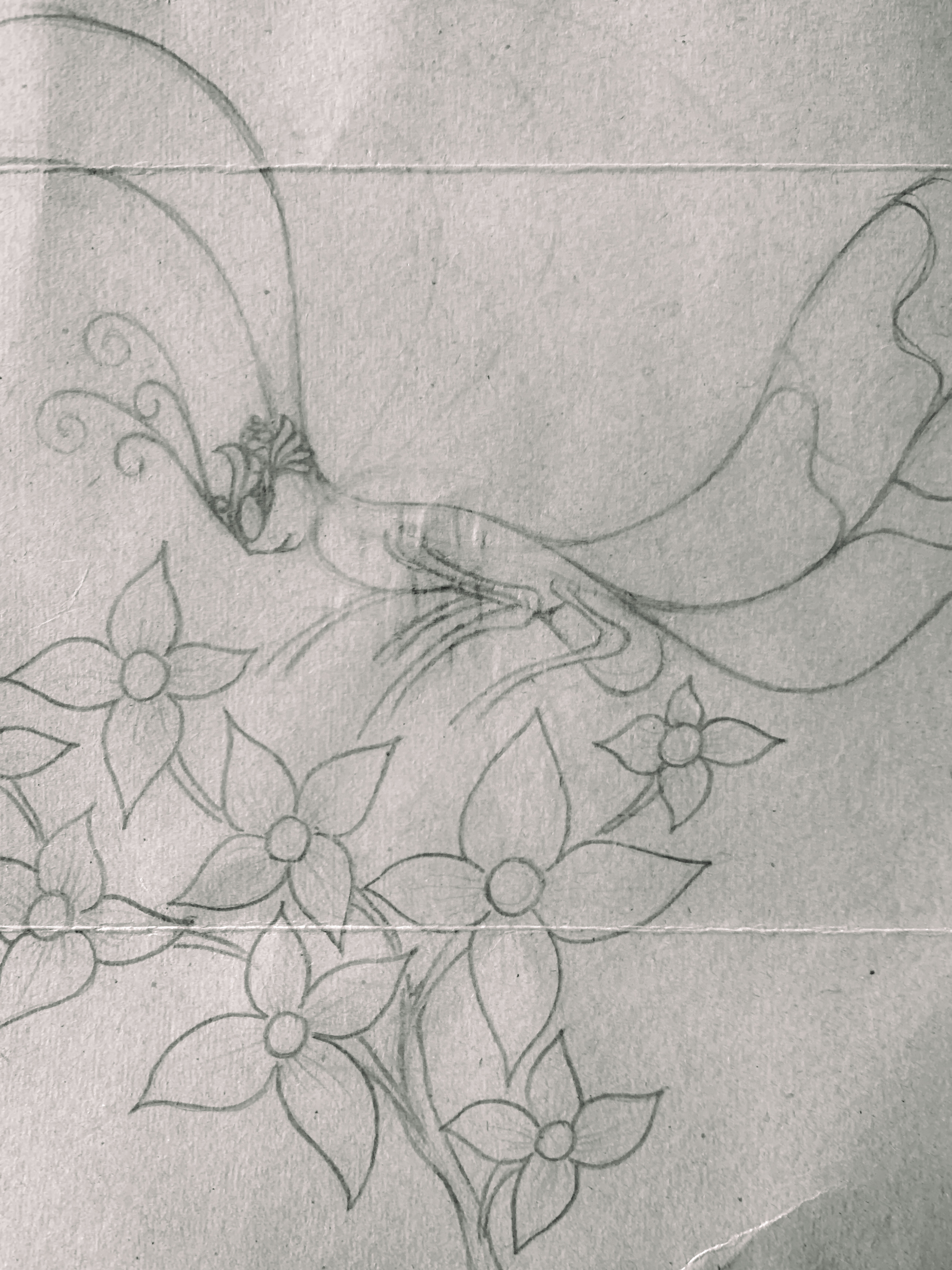 faded silvery-black and white photo of a drawing of a butterfly man landing on some flowers