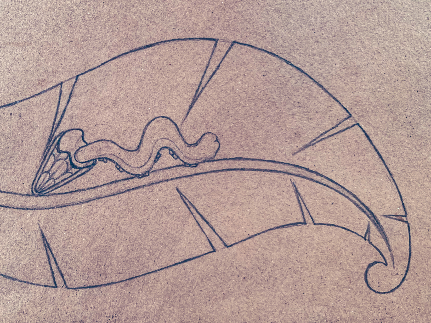 pencil drawing on brown paper of a baby caterpillar coming out of the egg and starting to walk along the vein of a leaf