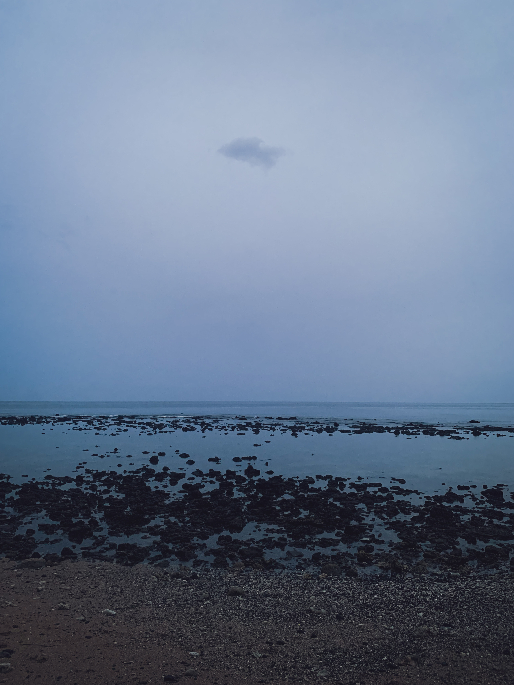 picture of a beach at low tide in pre-dawn blue light with blue-black rocks or dead reef visible in the blue water surface reflecting the blue sky with tan-colored sand and beach gravel and some whitish shells or coral and a small greyish-blue cloud in the sky