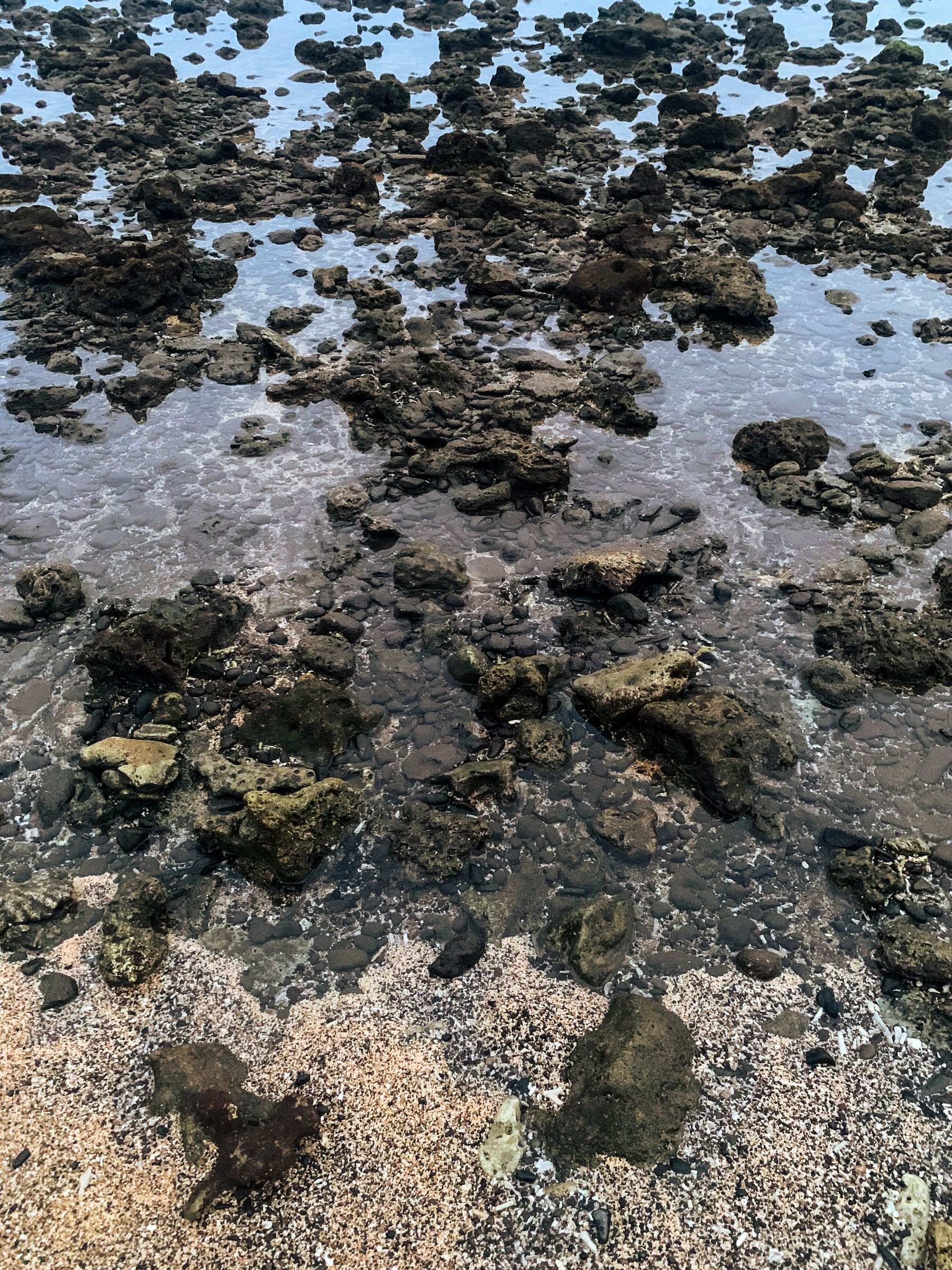 photo is at the beach of dead coral reef rubble partially submerged in a tidepool that reflects pale blue light, edging up to beige and white and black speckled sand