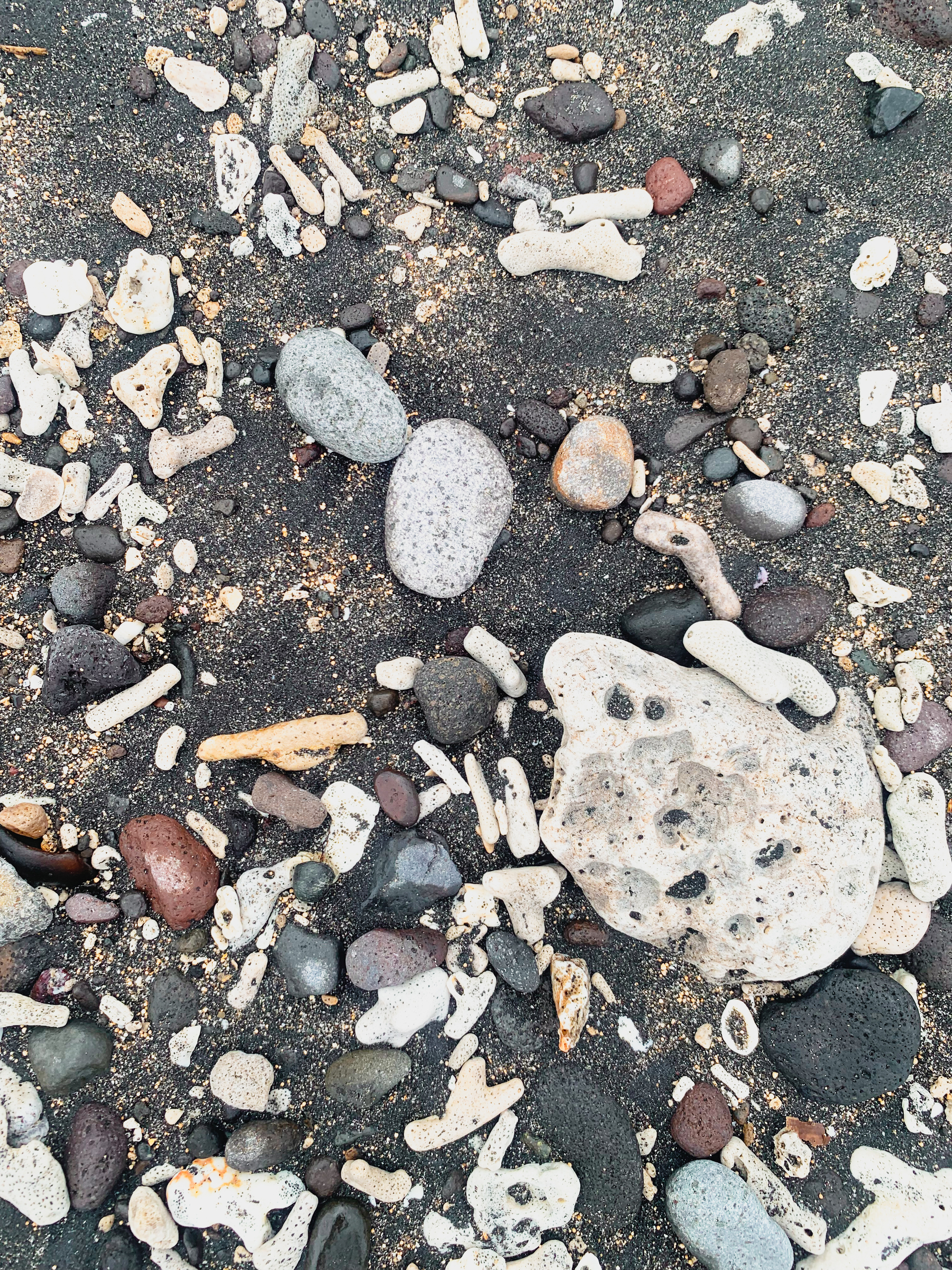 photo of detritus at the beach including stones, coral fragments polished down by waves, and other small things, among which there may be a hermit crab, on black-ish sand speckled with beige.